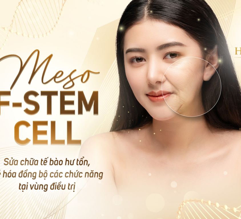 F-Stemcell 1-2