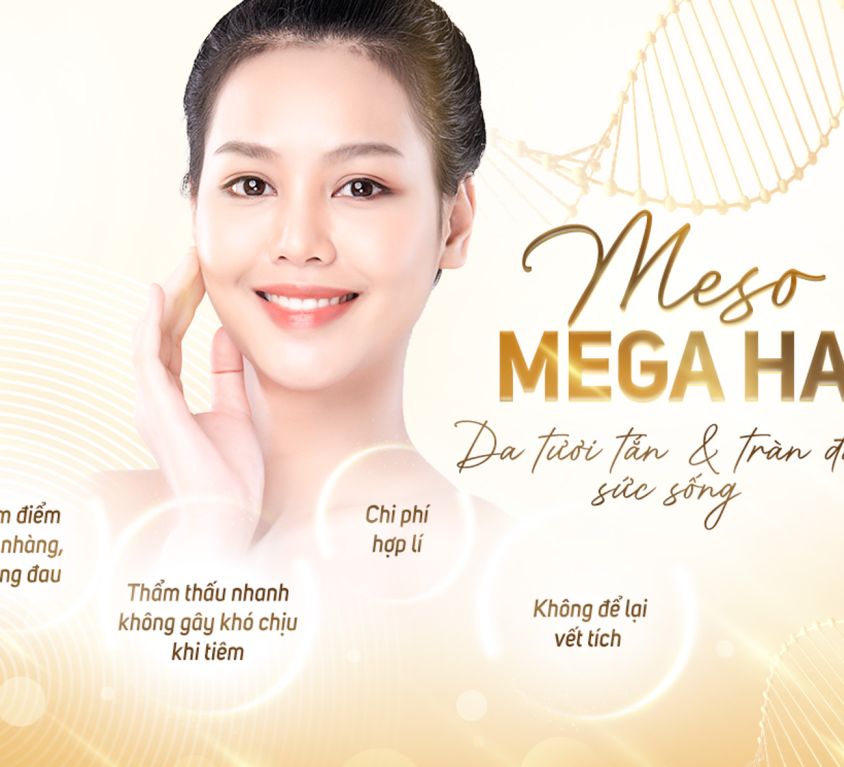 Mega HA 1-2